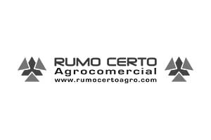Comercialização de Grãos de Soja