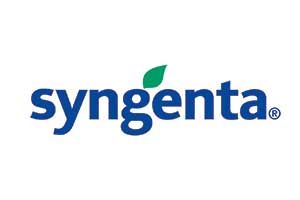 Comercialização de Grãos de Soja